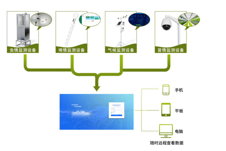 農(nóng)業(yè)四情監(jiān)測系統(tǒng)拓?fù)鋱D